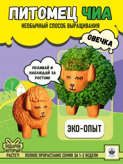 Питомец ЧИА овечка набор для выращивания микрозелени для детей
