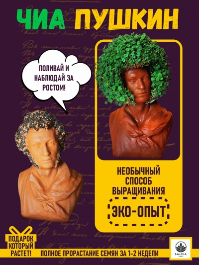 Питомец ЧИА Пушкин подарочный бюст набор для выращивания микрозелени растений