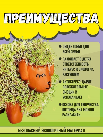 Питомец ЧИА овечка набор для выращивания микрозелени для детей